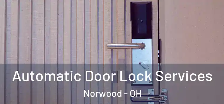 Automatic Door Lock Services Norwood - OH