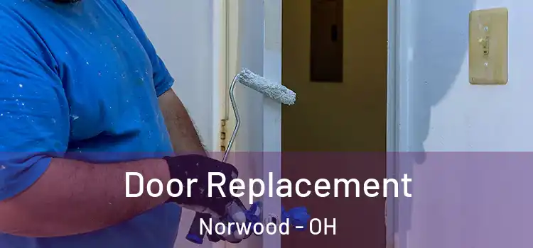 Door Replacement Norwood - OH