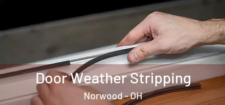 Door Weather Stripping Norwood - OH