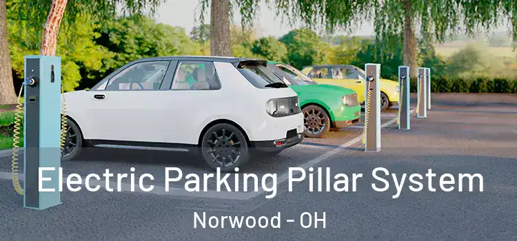 Electric Parking Pillar System Norwood - OH