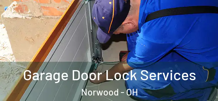 Garage Door Lock Services Norwood - OH