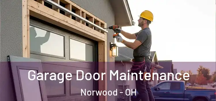 Garage Door Maintenance Norwood - OH