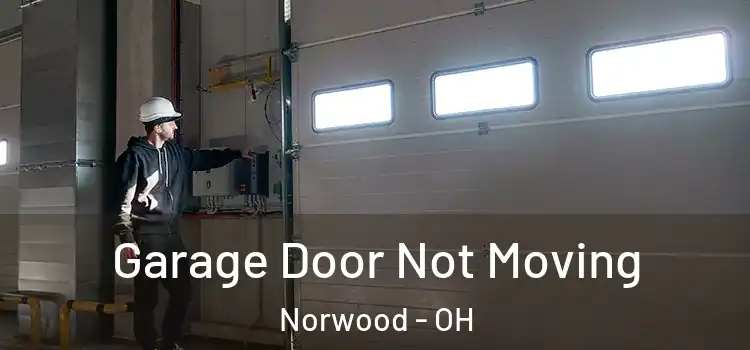  Garage Door Not Moving Norwood - OH
