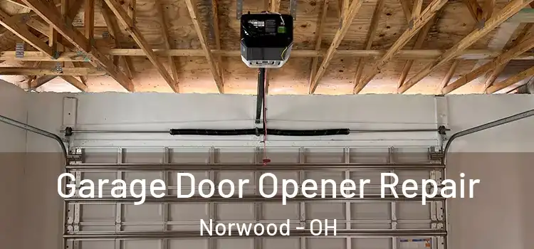  Garage Door Opener Repair Norwood - OH