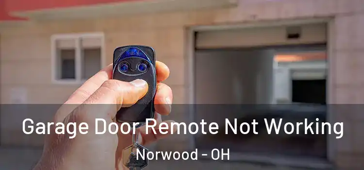  Garage Door Remote Not Working Norwood - OH