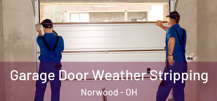  Garage Door Weather Stripping Norwood - OH