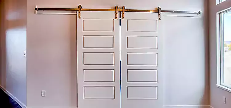 Glass Barn Door with Installation Hardware Kit Norwood