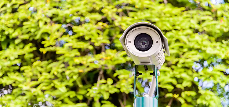 Advanced Surveillance Solutions for Every Need in Norwood