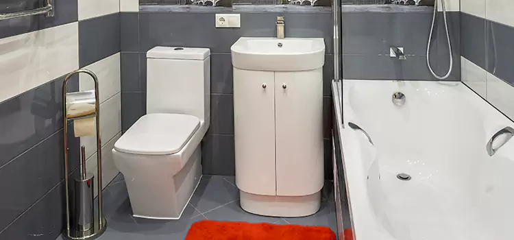 Hansgrohe Shaving Mirror Norwood