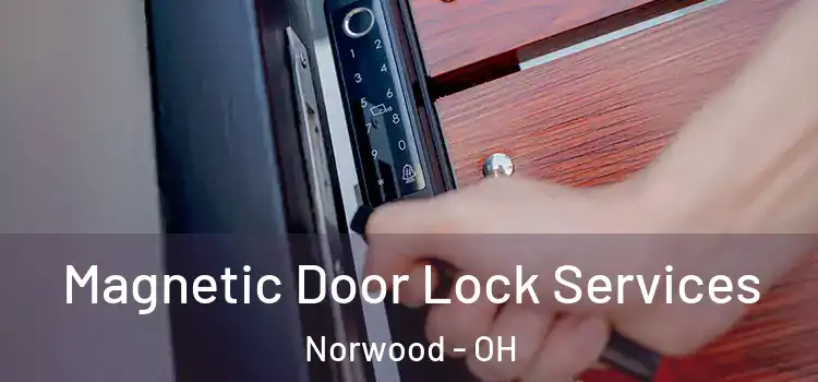 Magnetic Door Lock Services Norwood - OH