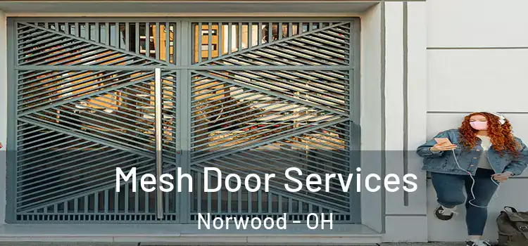 Mesh Door Services Norwood - OH