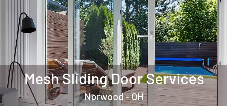 Mesh Sliding Door Services Norwood - OH