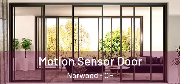 Motion Sensor Door Norwood - OH