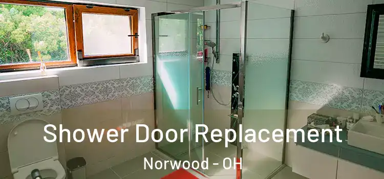 Shower Door Replacement Norwood - OH