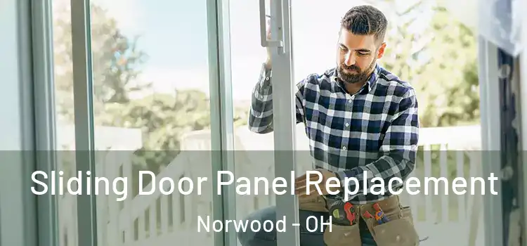  Sliding Door Panel Replacement Norwood - OH