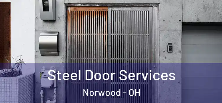 Steel Door Services Norwood - OH