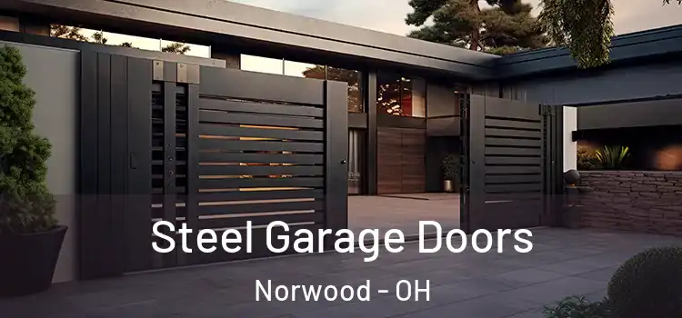 Steel Garage Doors Norwood - OH